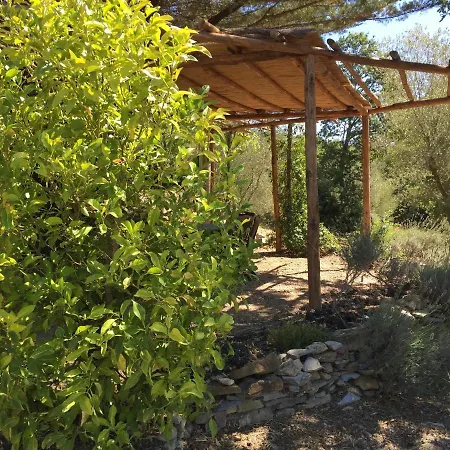Apartment Podere San Giuseppe - La Terrazza *